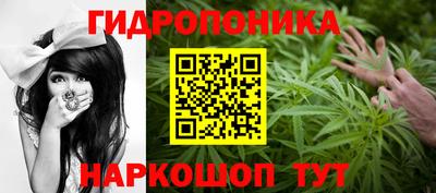 мдпв Тула