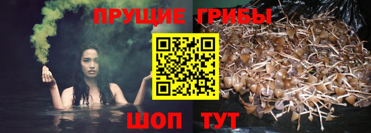 Урюпинск  Галлюциногенные грибы мицелий  Вход с VPN 